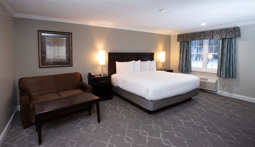 Suite, 1 King Bed with Sofa bed