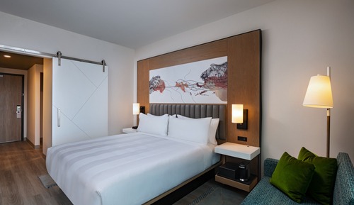 Room, 1 King Bed (Mobility Accessible, Roll-In Shower)