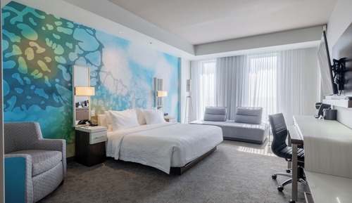 Room, 1 King Bed