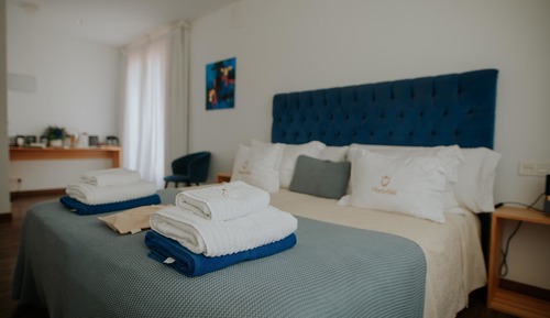 Standard Double or Twin Room (Dama d'Elx)