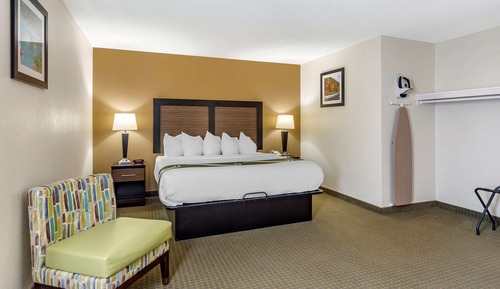 Room, 1 King Bed, Accessible, Non Smoking