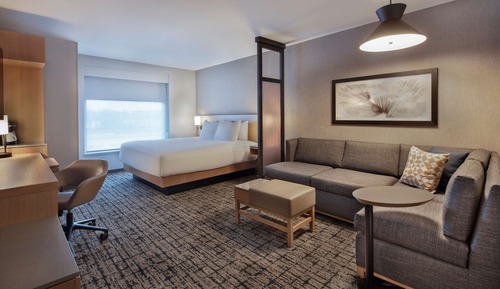 Design Room, 1 King Bed with Sofa bed