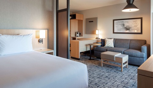 Design Room, 1 King Bed with Sofa bed (Specialty)