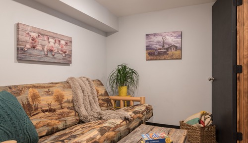 Standard (1 Queen, 1 Futon)