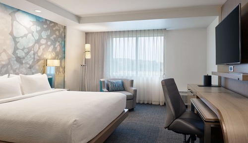 Suite, 1 King Bed with Sofa bed