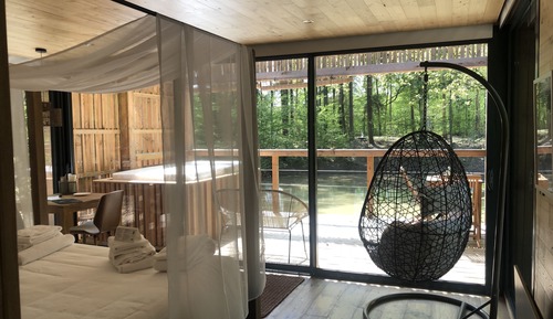 Design Suite with Sauna and Jacuzzi, 1 King Bed - Efflorescence by Cédric Porchez