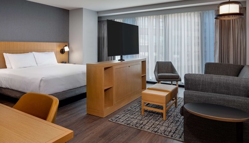 ADA Studio, 1 King Bed with Sofa bed, Bathtub