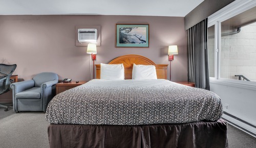 Room, 1 King Bed