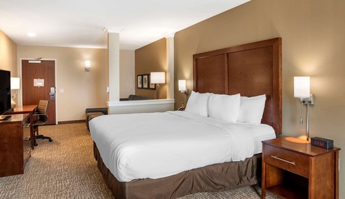 Suite, 1 King Bed with Sofa bed, Non Smoking