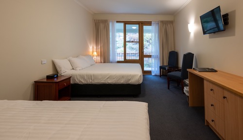 Standard Forest Room