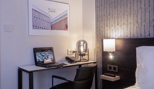 Business Double Room, Garden View (2)