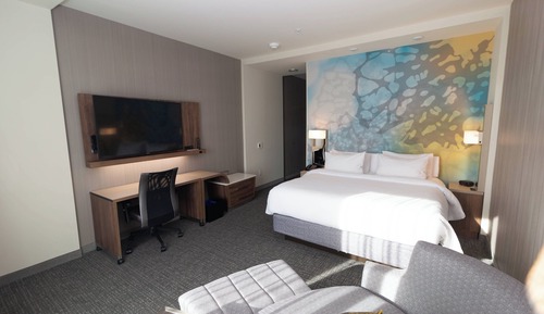 Room, 1 King Bed with Sofa bed