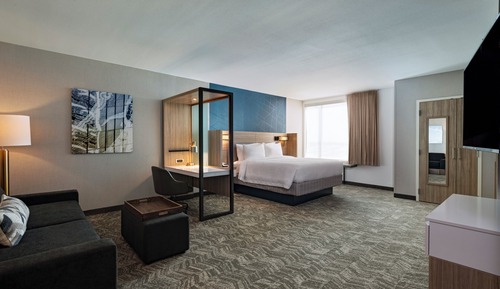 Suite, 1 King Bed with Sofa bed (Mobility Accessible, Tub)