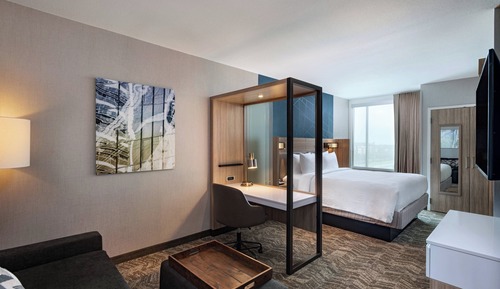 Suite, 1 King Bed with Sofa bed