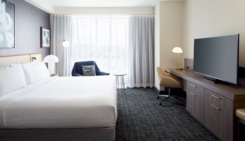 Room, 1 King Bed, Accessible (Roll-In Shower)