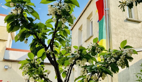 Superior Double Room, Garden View
