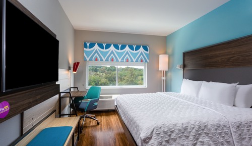 Room, 1 King Bed