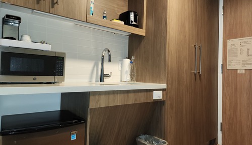 Room, 1 King Bed (Mobility/Hearing Access, Roll-in Shwr)