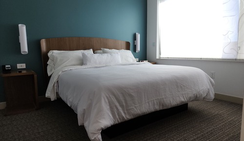 Suite, 1 Bedroom (Mobility/Hearing Access, Roll-in Shwr)