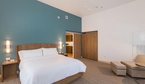 Executive Suite, 1 King Bed with Sofa bed