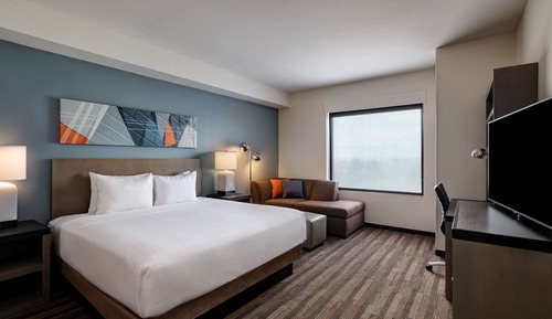 Room, 1 King Bed