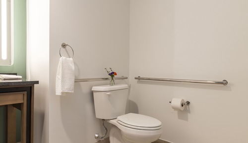 Room, 1 King Bed, Accessible (Mobility & Hearing, Roll-In Shower)