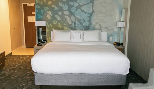 Room, 1 King Bed with Sofa bed, Hearing Accessible (Roll-in Shower)