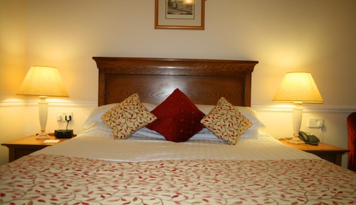 Double Room (1 King Bed)