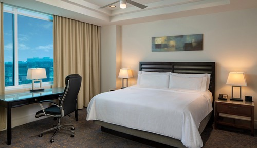 Traditional Room, 1 King Bed (Mobility/Hearing Access, Roll-In Shwr)