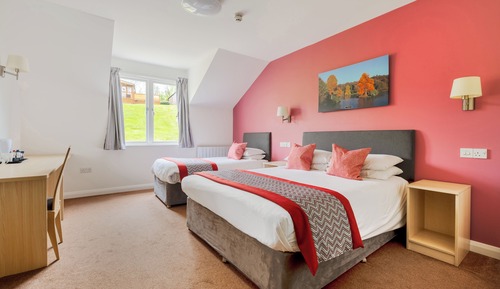 Family Room, Ensuite