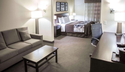 Suite, 1 King Bed with Sofa bed, Non Smoking