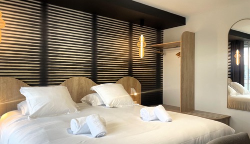 Superior Room, 1 Queen Bed, Non Smoking, Terrace