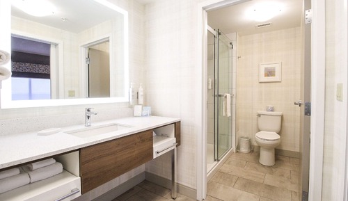 Room, 1 King Bed with Sofa bed