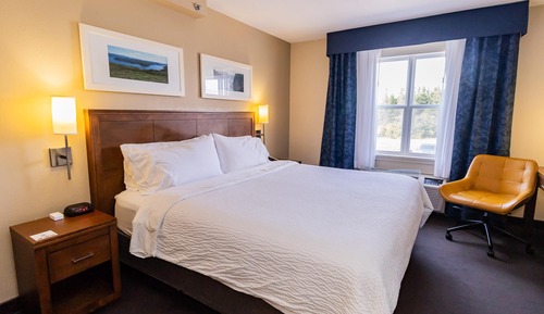 Standard Room, 1 King Bed, Non Smoking