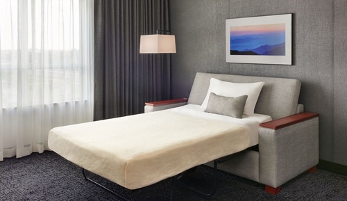 Room, 1 King Bed with Sofa bed