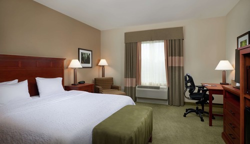 Room, 1 King Bed, Accessible, Non Smoking