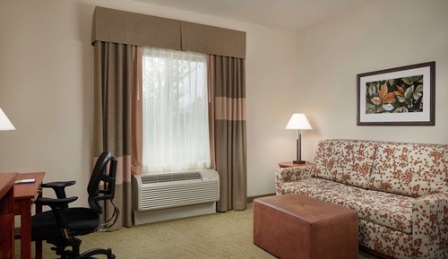 Room, 1 King Bed with Sofa bed