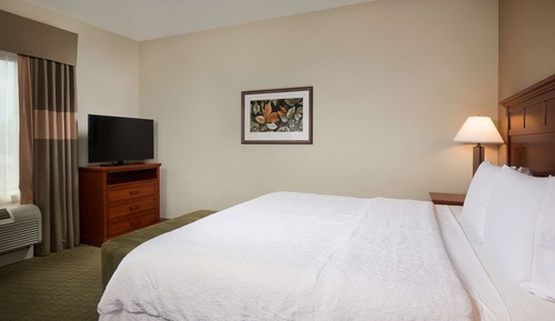 Premium Room, 1 King Bed, Non Smoking, Refrigerator & Microwave