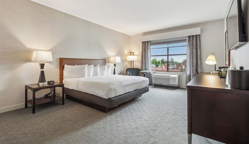 Executive Room, 1 King Bed