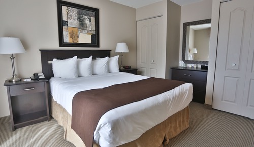 Executive Suite, 1 King Bed