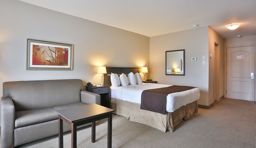 Room, 1 Queen Bed