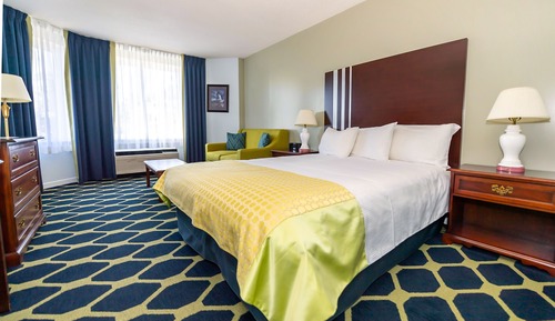 Standard Single Room, 1 Queen Bed Non Smoking