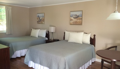 Standard Room, 2 Double Beds