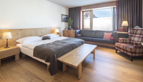 Double or Twin Room (Mountain View Room)