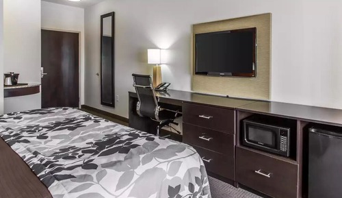 Room, 1 King Bed, Accessible, Non Smoking