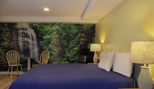 Standard Room, King Bed, Non Smoking, Private Bathroom (Dog Friendly)