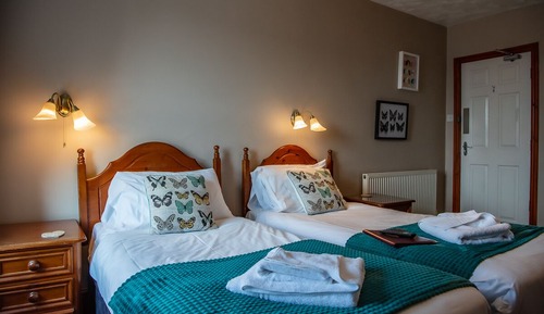 Comfort Room, 2 Twin Beds, Mountain View