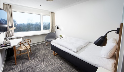 Superior Single Room