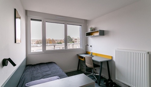 Studio, 1 large single bed