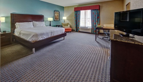 Room, 1 King Bed, Accessible (Roll-In Shower)